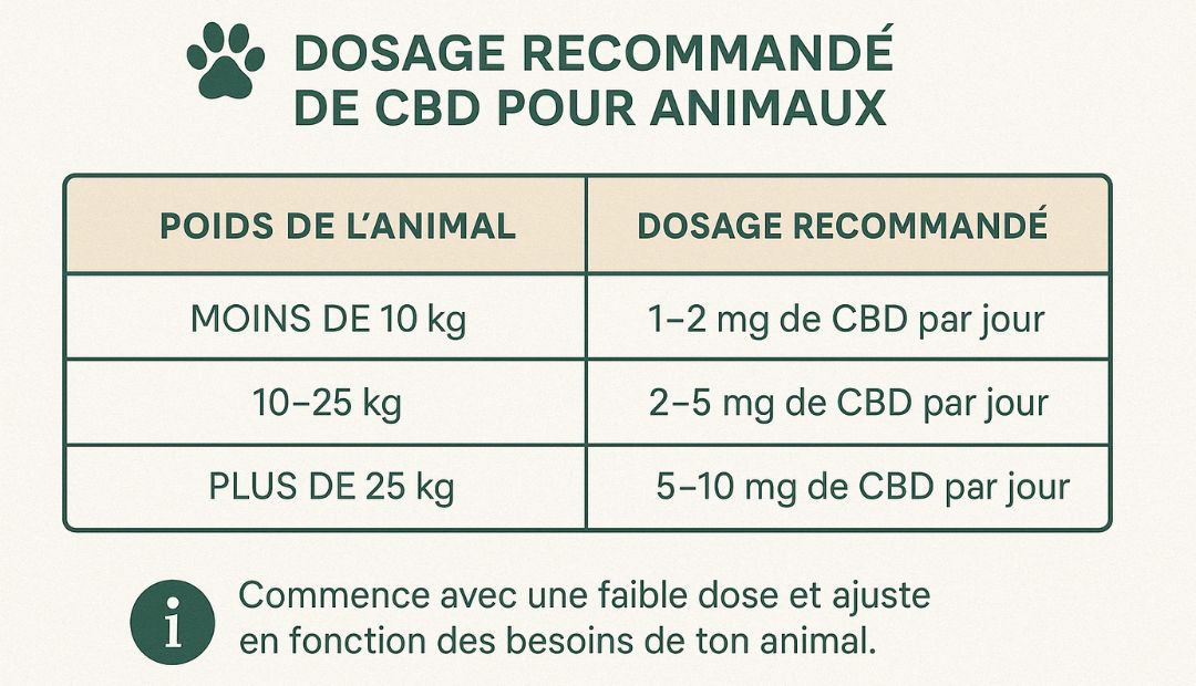 Le dosage recommandé de CBD pour chiens et chats