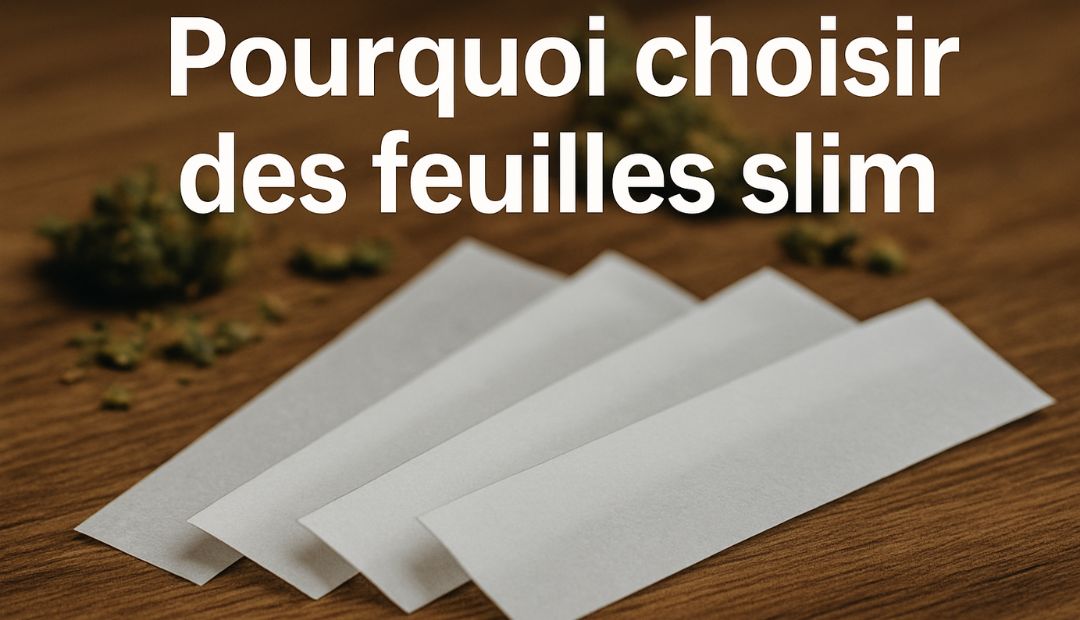 Feuilles à rouler slim blanches disposées en éventail sur une table en bois avec fond flou de miettes de chanvre.