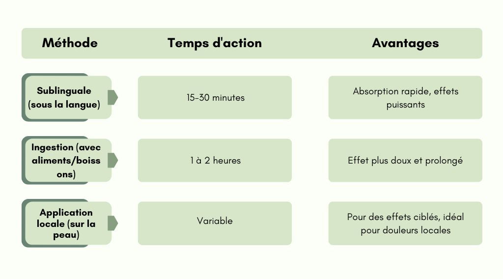 La meilleure méthode d’administration de l’huile de CBD