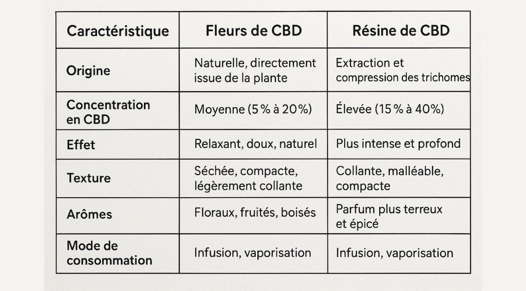 Fleurs de CBD vs Résine : Quelle est la différence ?