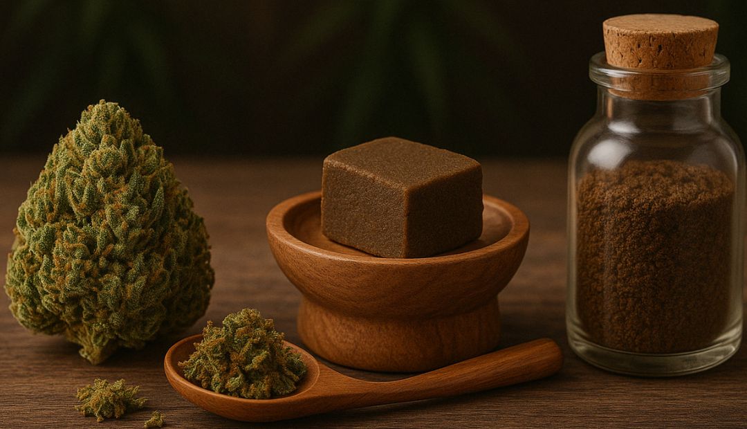 Vue rapprochée d'une variété de produits CBD incluant une fleur de CBD, un bloc de résine dans un bol en bois et un flacon de résine en poudre, avec un fond flou de plantes de cannabis.