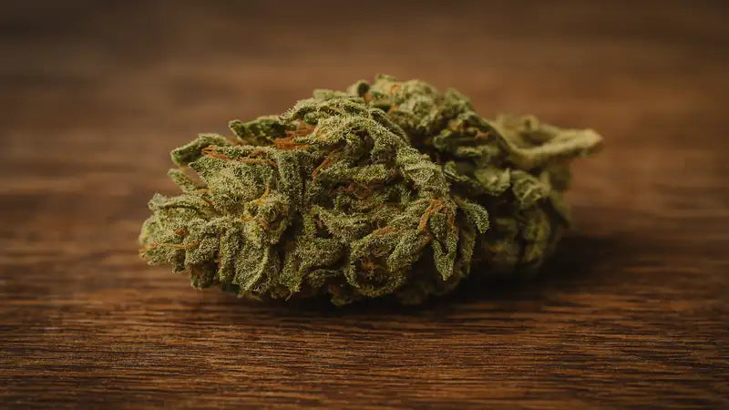 Comparatif THV N10 vs THC+ 2025 – cannabis premium légal et sécurisé chez baba