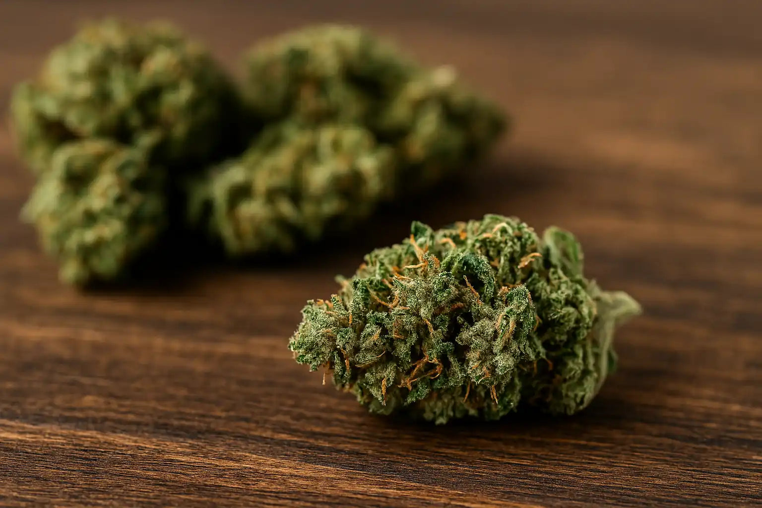 Cannabis premium THC+ en gros plan, ambiance relaxante et légale, avec fleurs et résine artisanales Chez Baba Demander à ChatGPT