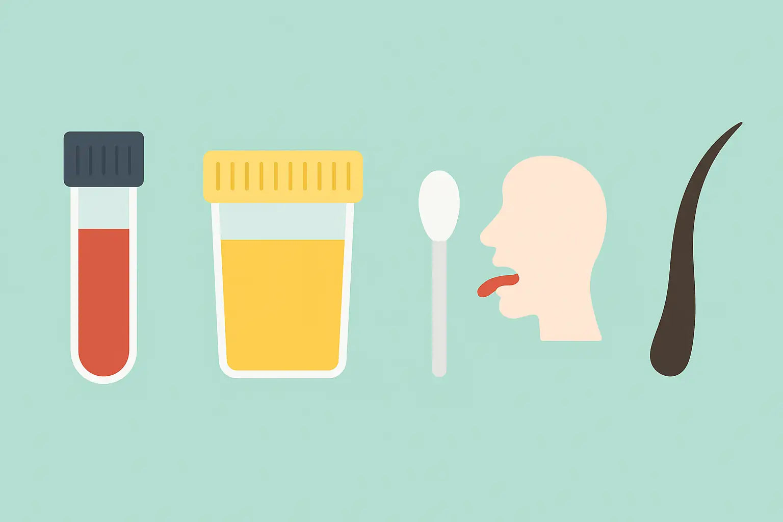 Comparatif des tests de dépistage du THC dans le sang, l’urine, la salive et les cheveux, illustration minimaliste sur fond vert menthe.