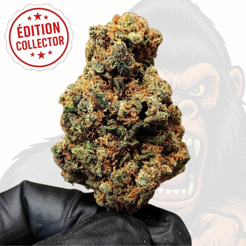 THC+